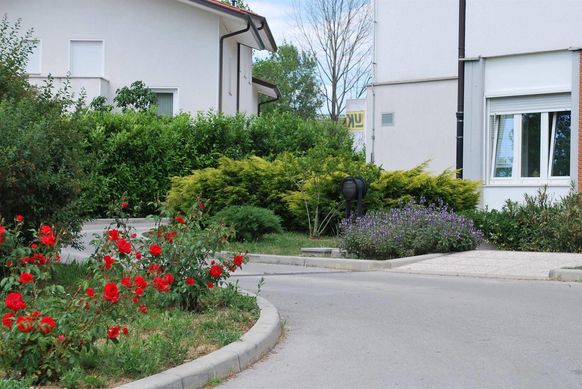 Bed And Breakfast Kogoj Нова Гориця Екстер'єр фото